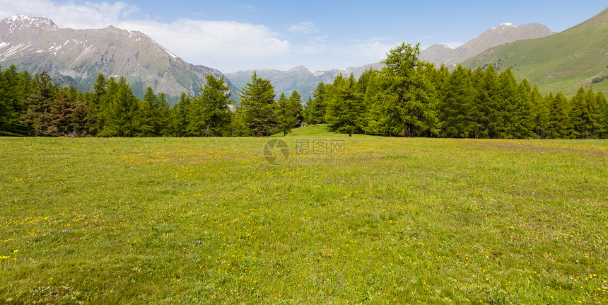 在意大利山高上美丽的景色夏天有森林背景佩德蒙特地区北意大利图片