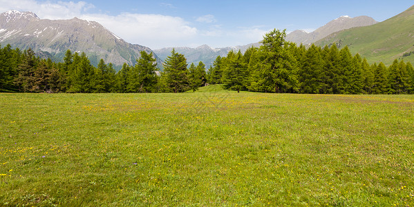 在意大利山高上美丽的景色夏天有森林背景佩德蒙特地区北意大利背景图片