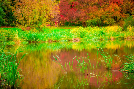 湖边森林公园美秋天风景图片