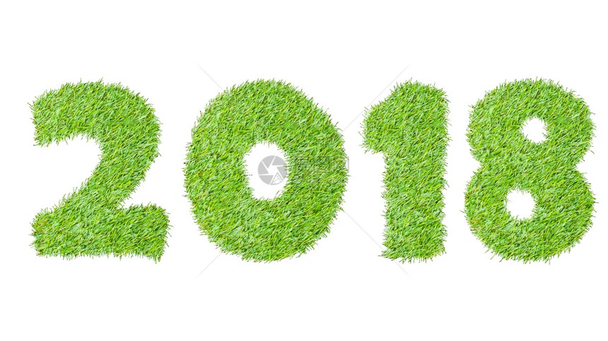 2018年新由绿草创造白隔开可用作抽象背景图片