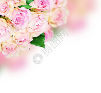 粉红色背景的玫瑰花束图片