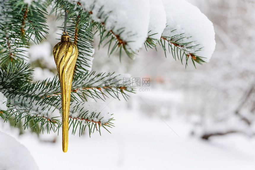 金色的圣诞玩具在花朵上覆盖着冰雪的圆形树枝上图片