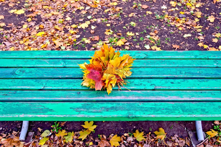 公园绿色长椅上的红黄和橙的树叶图片