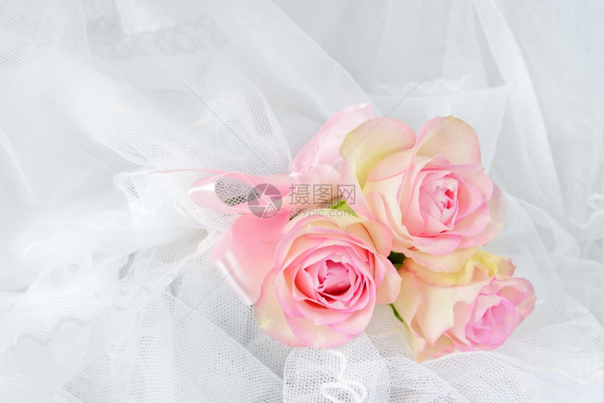 三朵粉红玫瑰在白色圆形背景的面上有一条弓图片