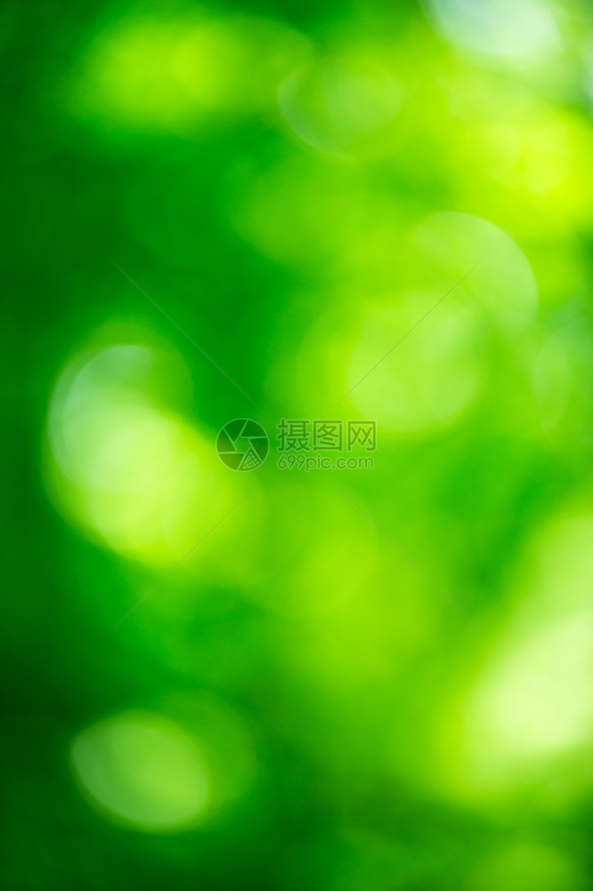 绿色模糊背景和阳光图片