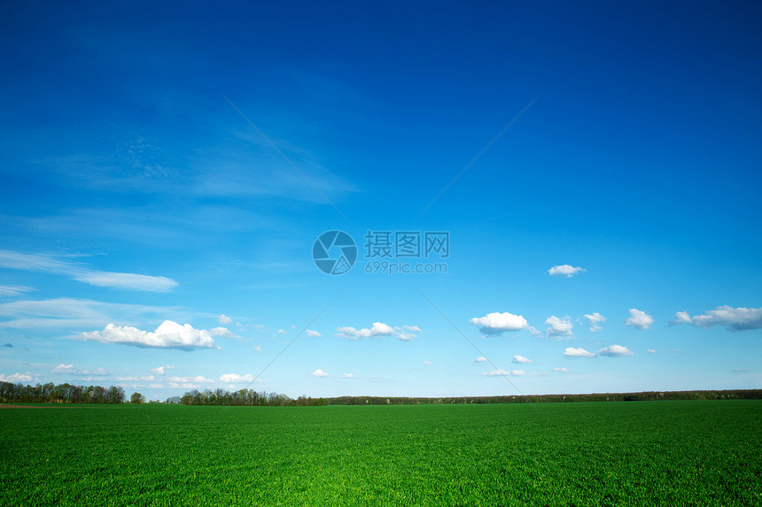 夏草和明蓝的天空图片