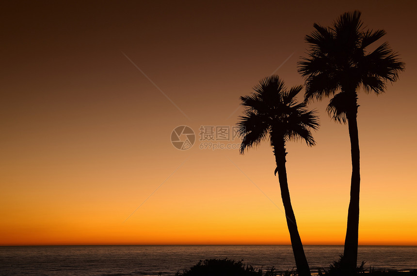 日落与棕榈在贝罗斯沙滩cadiz西班牙图片