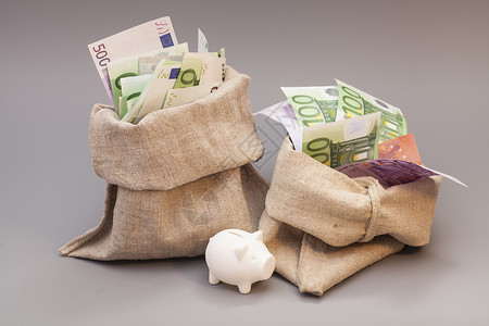 两袋带欧元的钞和灰色小猪银行图片