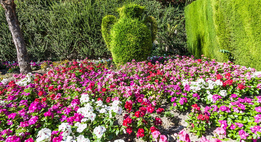 这幅豪华意大利花园的摄影作品中明亮颜色图片