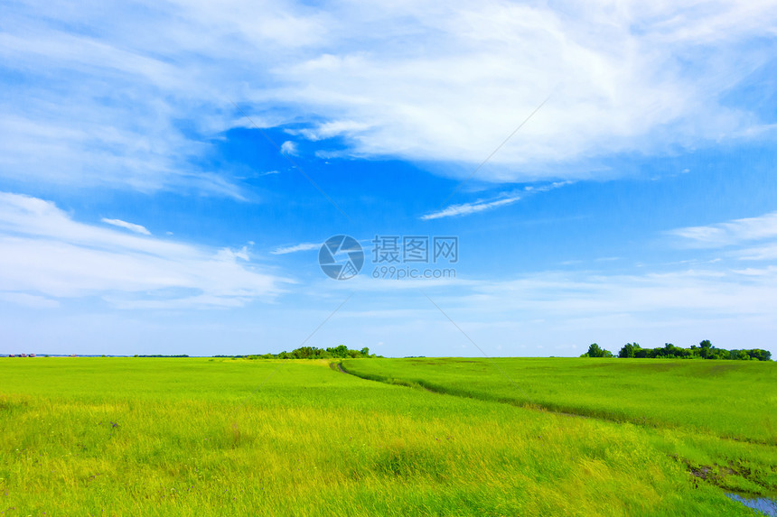 绿地道路和天空图片