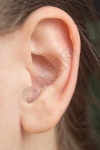 耳洞女人的耳朵背景