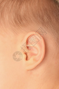 婴儿的耳朵特写图片