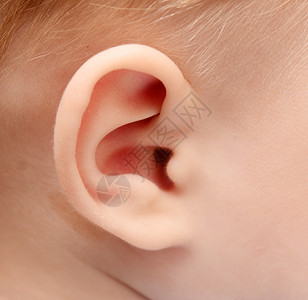 婴儿耳朵图片