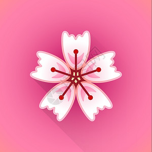 矢量粉色鲜花插图图片