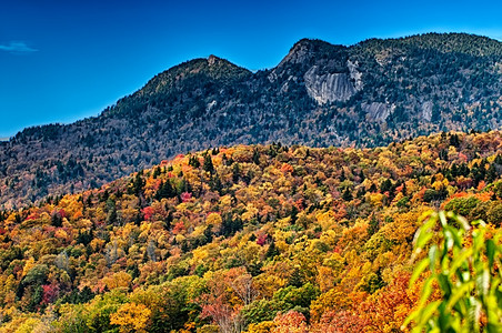 烟雾山的秋季森林图片