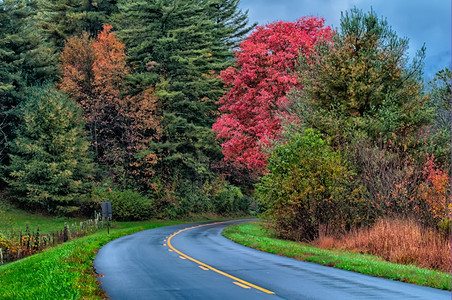 秋天蓝脊公园的公路图片