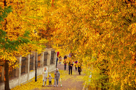 秋天公园散步的幸福家庭图片