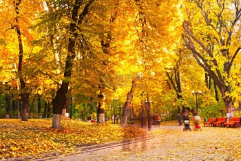 秋天人们在一个美丽的公园里漫步图片