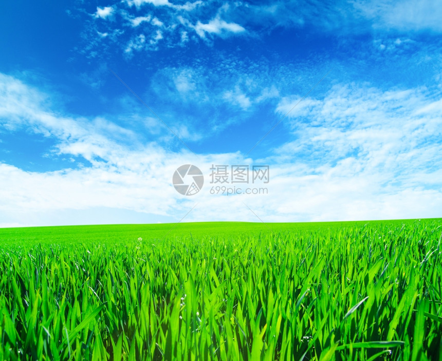 蓝色天空下平草地的背景图像图片