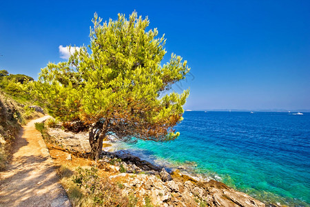 Croati的迪吉奥托克岛风景海岸图片