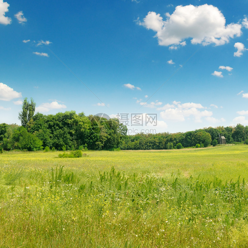绿野草和蓝天空图片