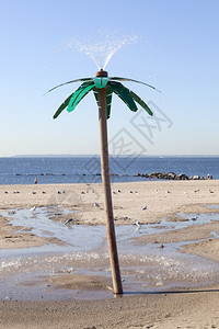 2015年7月日纽约新城在市科尼岛海滩用棕榈树淋浴图片