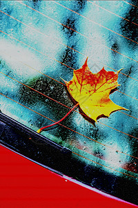 车窗上的秋叶图片