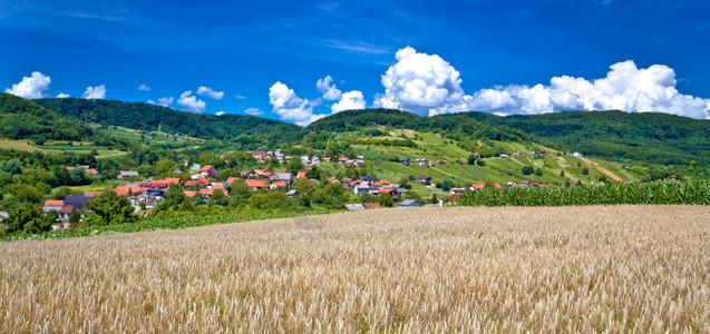 山丘旁的农业地貌和村庄苏多维茨croati村图片