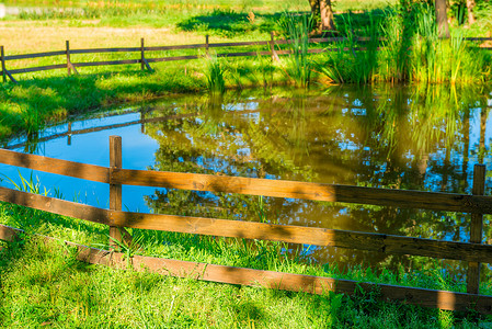 美丽的池塘环绕着木栅栏图片