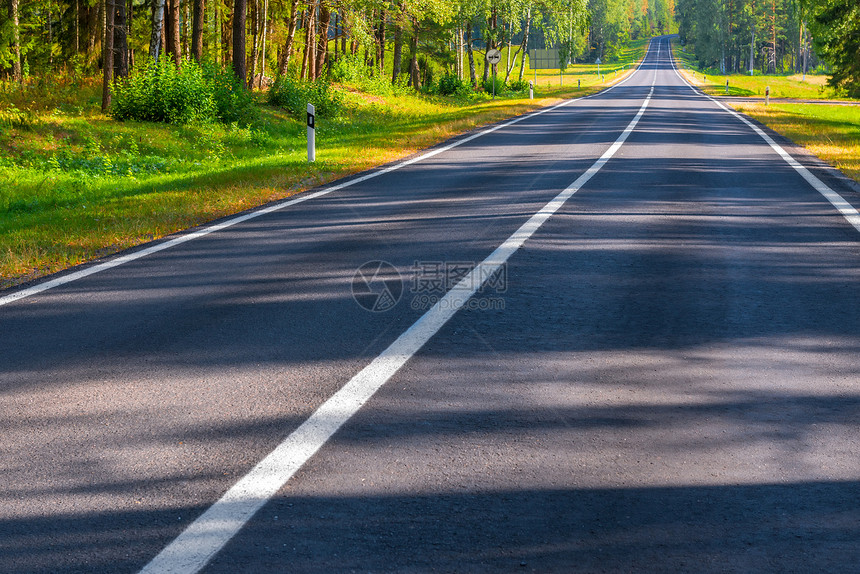 树林中的乡间公路图片