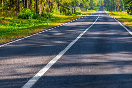 树林中的乡间公路图片