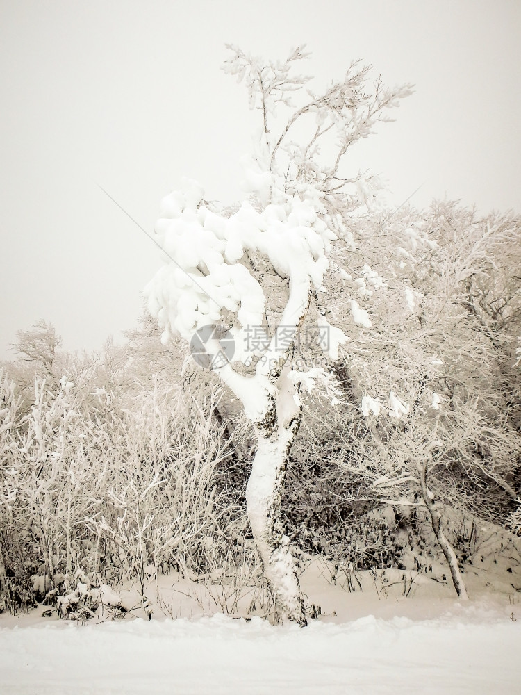 雪暴期间滑度假胜地的抽象场景图片