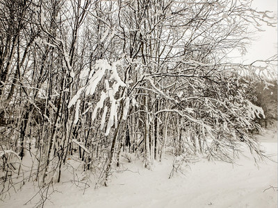 暴雪期间度假胜地的场景图片