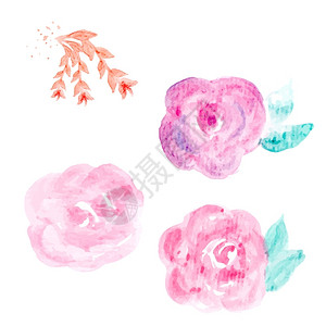 朵风干玫瑰水彩花矢量圆朵抽象设计图片