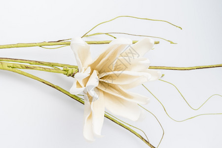 优雅的春花白色背景的假花婚礼背景图像背景图片