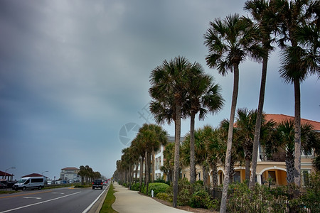 Florida海滩场景图片