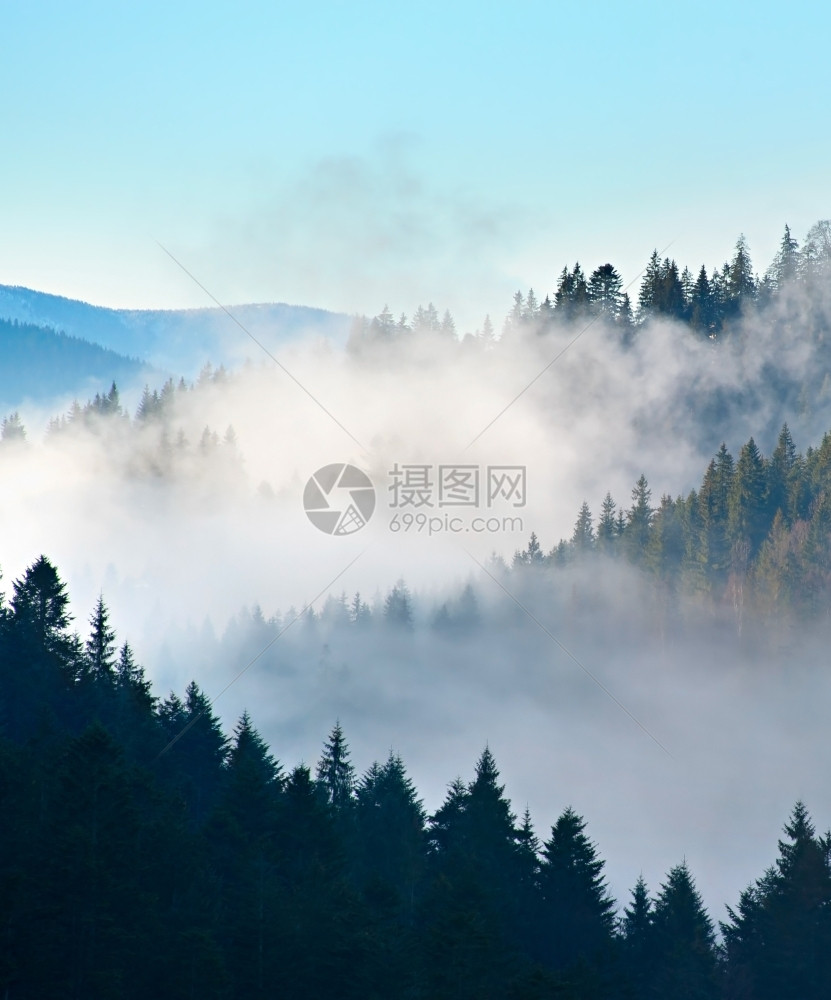 在雾的清晨山丘脉图片