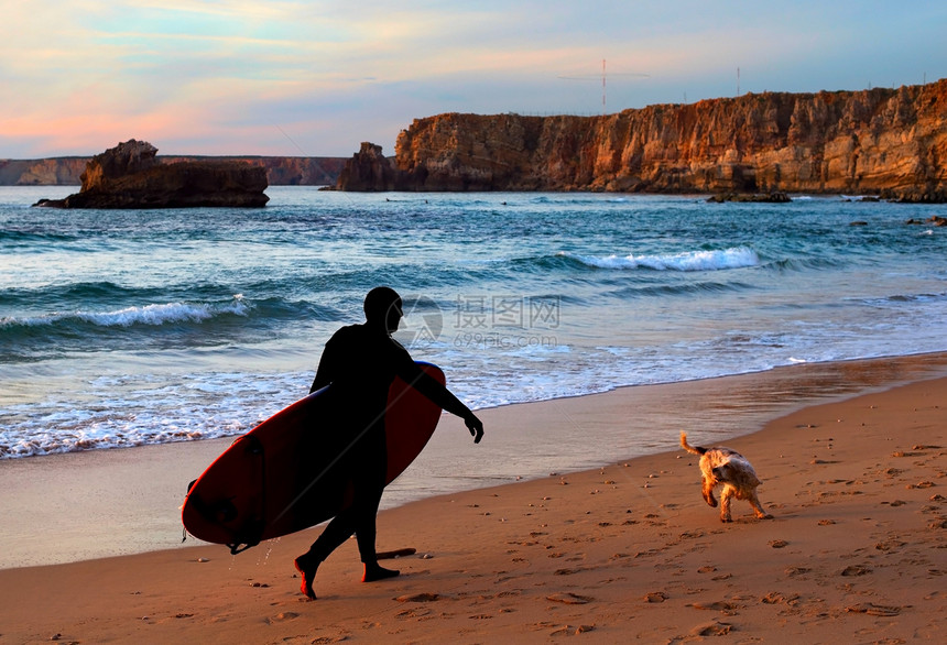 冲浪狗在日落时沙滩上行走图片