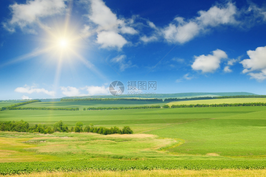 蓝天上的绿地和太阳图片