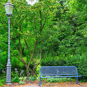 白天路灯夏季公园长椅和街灯背景