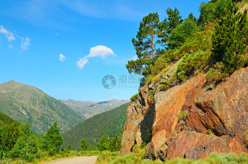 具有悬崖和松树的风景图片