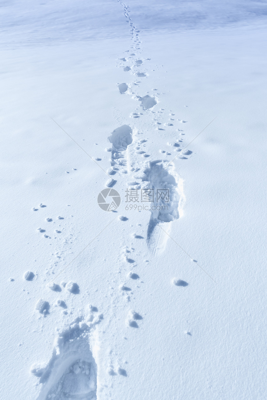 冬季背景与雪中脚印冬季丰富雪厚脚步多的层适合冬季景象图片