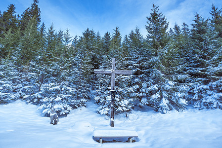 冬季风景中的木制冬季场景有一块旧木制和一片雪中覆盖的森林图片