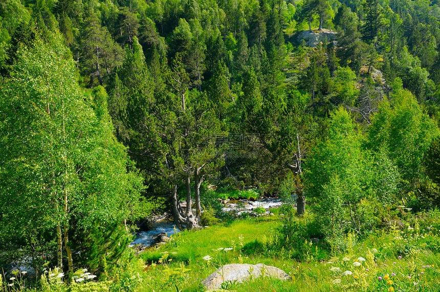 山地景观有树木草和小溪图片
