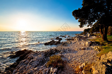 沙达尔镇croati的低太阳下层岩石海滩图片