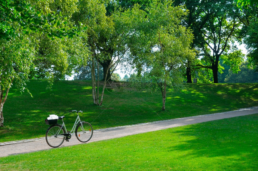 夏季公园自行车和道图片