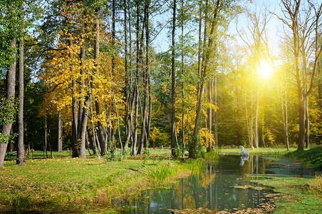 风景优美的秋天公园装饰湖泊和日落图片