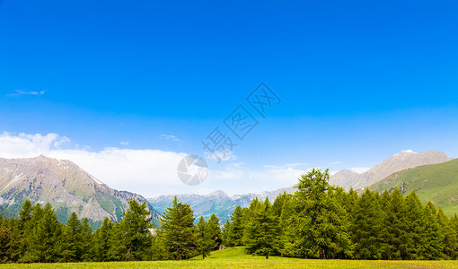 在意大利山高上美丽的景色夏天有森林背景佩德蒙特地区北意大利图片