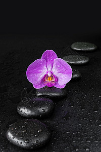 带黑色玄武按摩石连链条和紫兰花黑底水滴覆盖的紫兰花背景图片