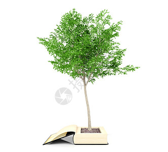 从旧书中植树阅读能发展想象力知识从教育概念中增长3D图片